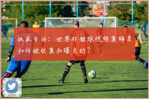 独家专访：世界杯假球视频集锦是如何被收集和曝光的？