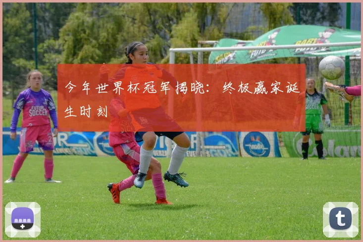 今年世界杯冠军揭晓：终极赢家诞生时刻