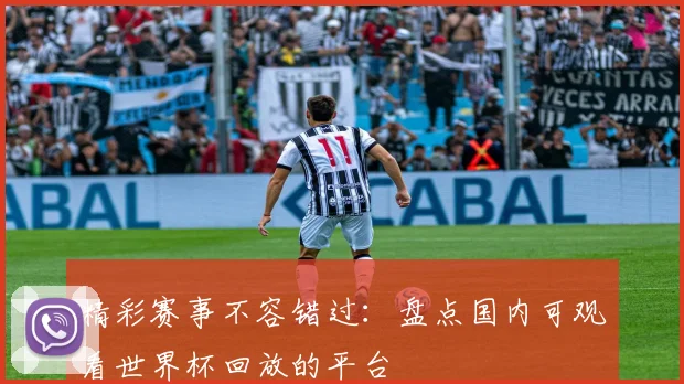 精彩赛事不容错过：盘点国内可观看世界杯回放的平台