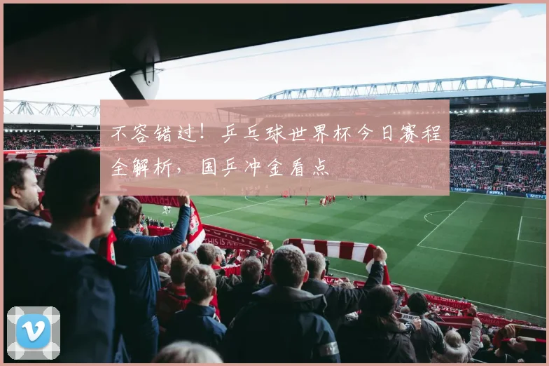 不容错过！乒乓球世界杯今日赛程全解析，国乒冲金看点